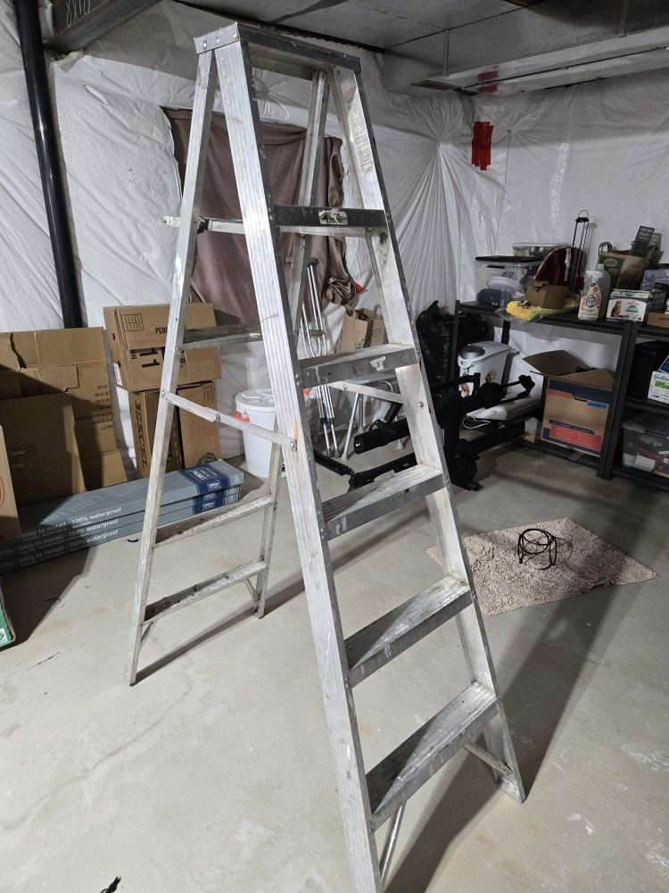 6ft Aluminum Latter
