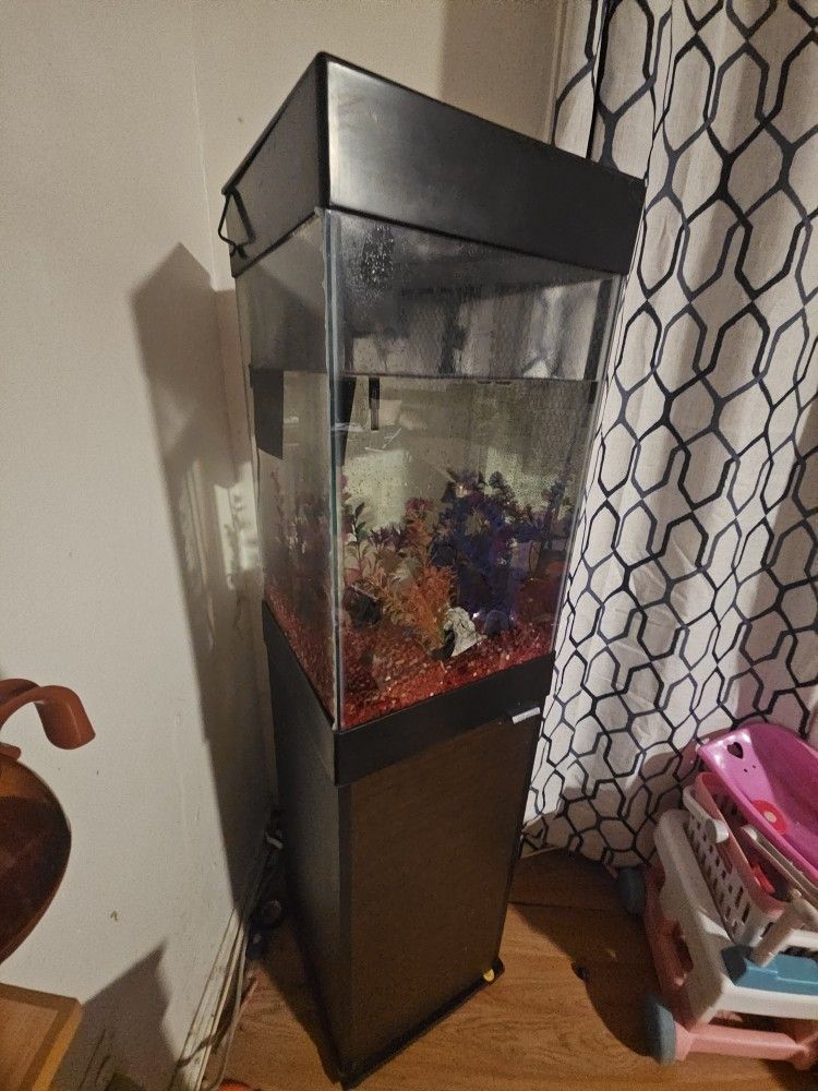 15 Gallon FISH TANK