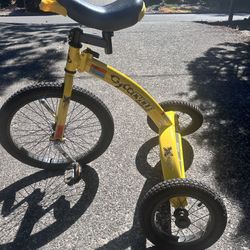 Cycocycle Crazy Fun 3-wheel Trike