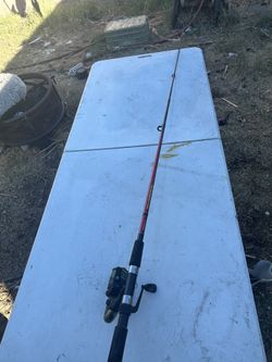 Pinnacle performance plus combo