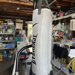 Everlast Punching Bag and Stand