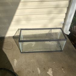 Free 20 gallon Long Has Leak 