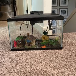 10 Gallon Fish Tank With Exesories