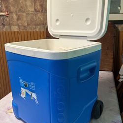 Igloo Cooler Extra Large 
