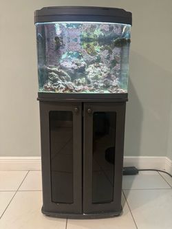 Oceanic biocube 29 with coral and supplies