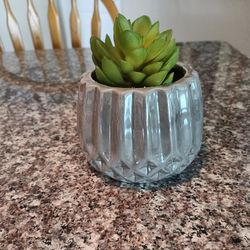Decorative Artificial Plant
