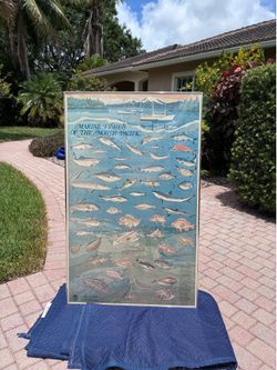 US dept. of Commerce official Poster - pacific fishes