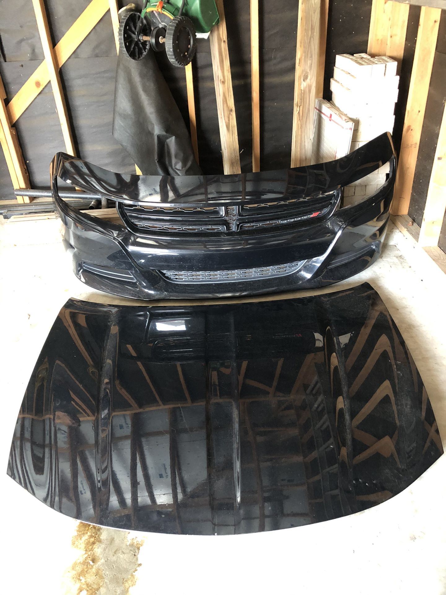 Hood and bumper