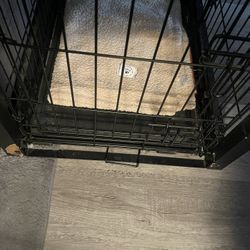Black Dog Crate 