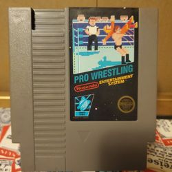 Pro  Wrestling
