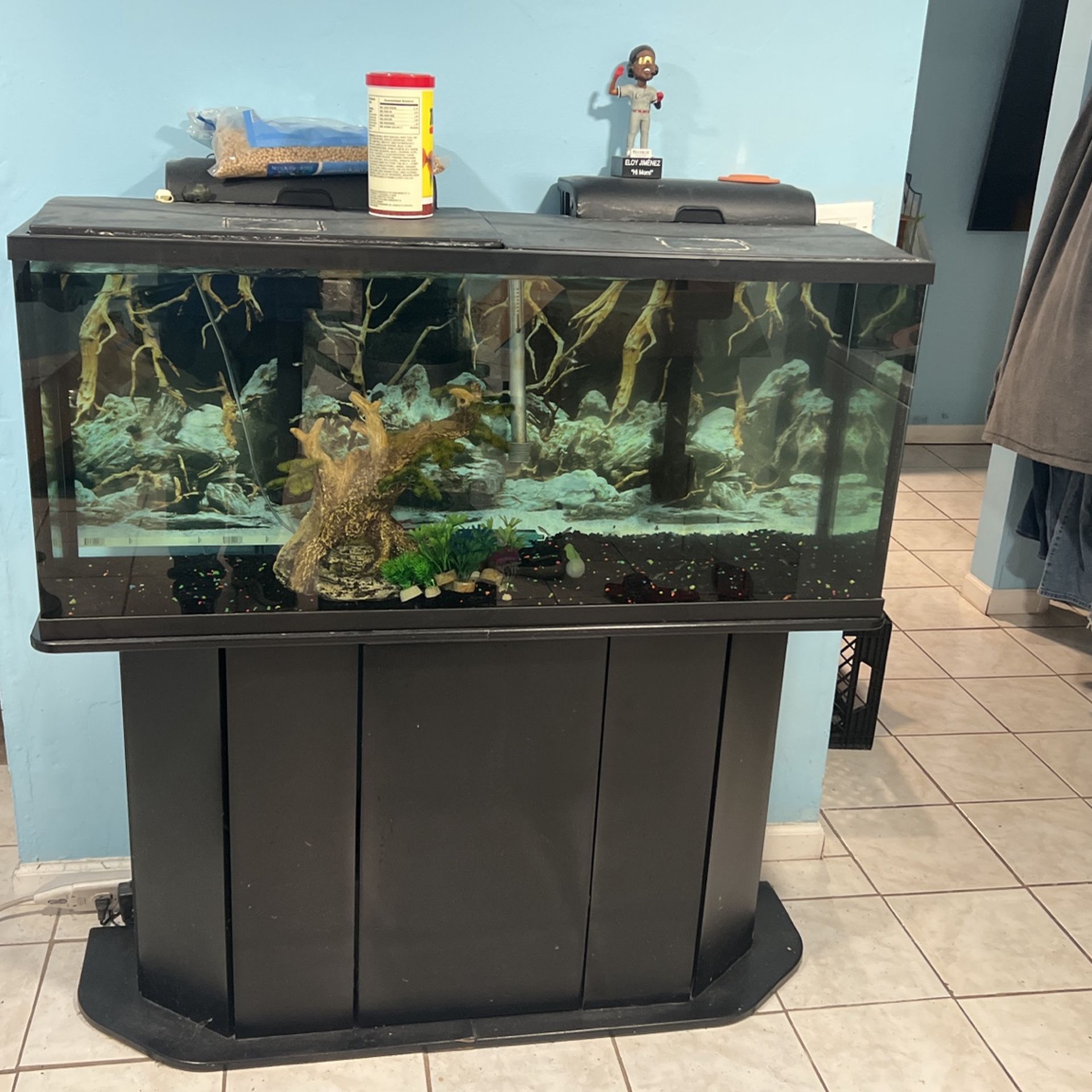 Fish Tank 55 Gallons