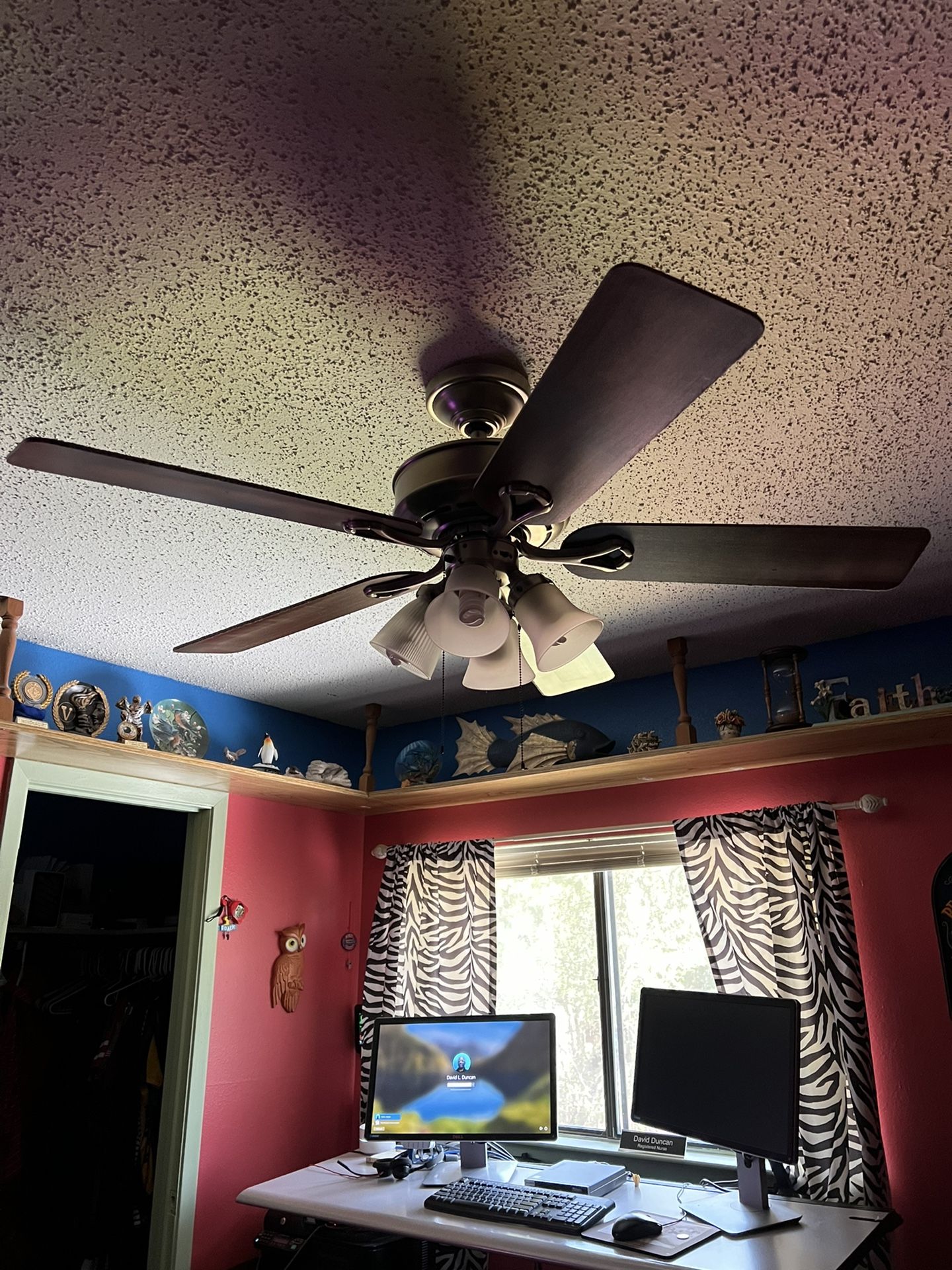Ceiling Fans 