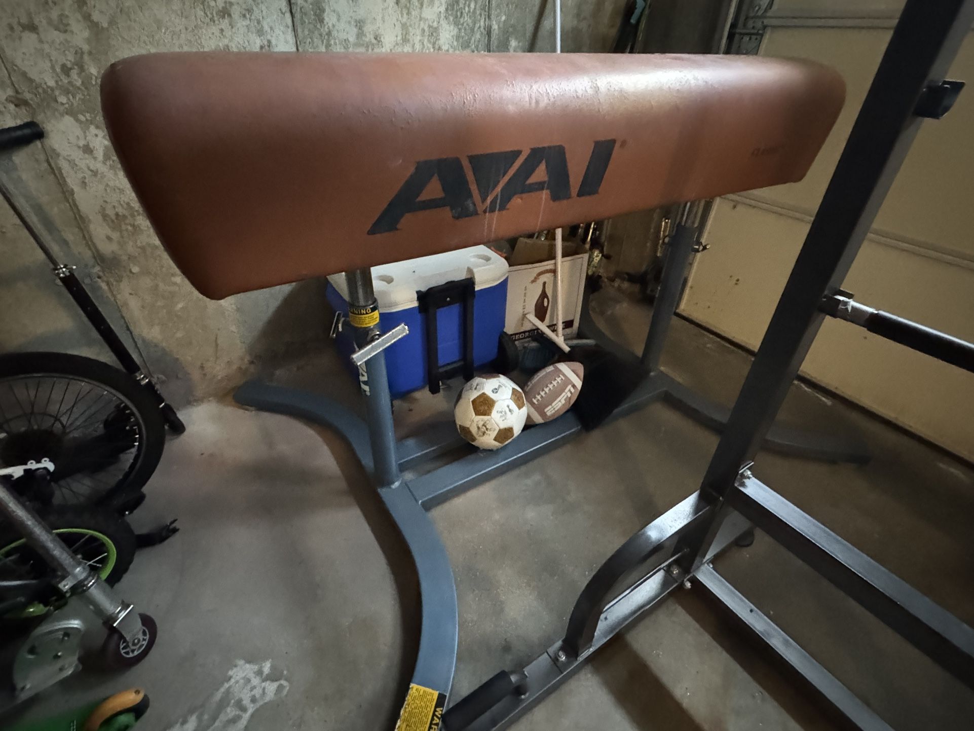 Aai Pommel Horse Professional