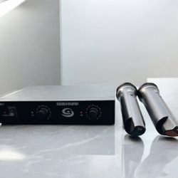 Gem Sound GMW-2 Dual-Channel Wireless Mic System