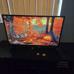 28-in Insignia TV