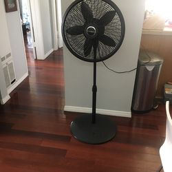 16 Inch Oscillating Floor 3 Speed Fan Black