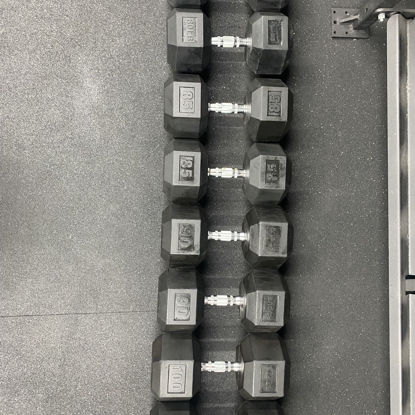 Rogue 100 lb dumbbell new arrivals