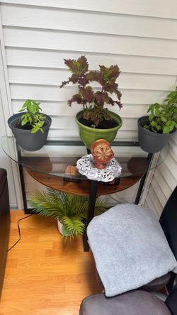 Glass table(s) (sold together)