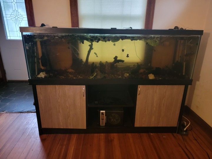 Aquarium Tank