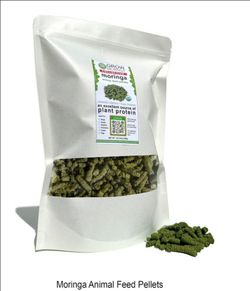 Moringa Pet Food $50 or OBO