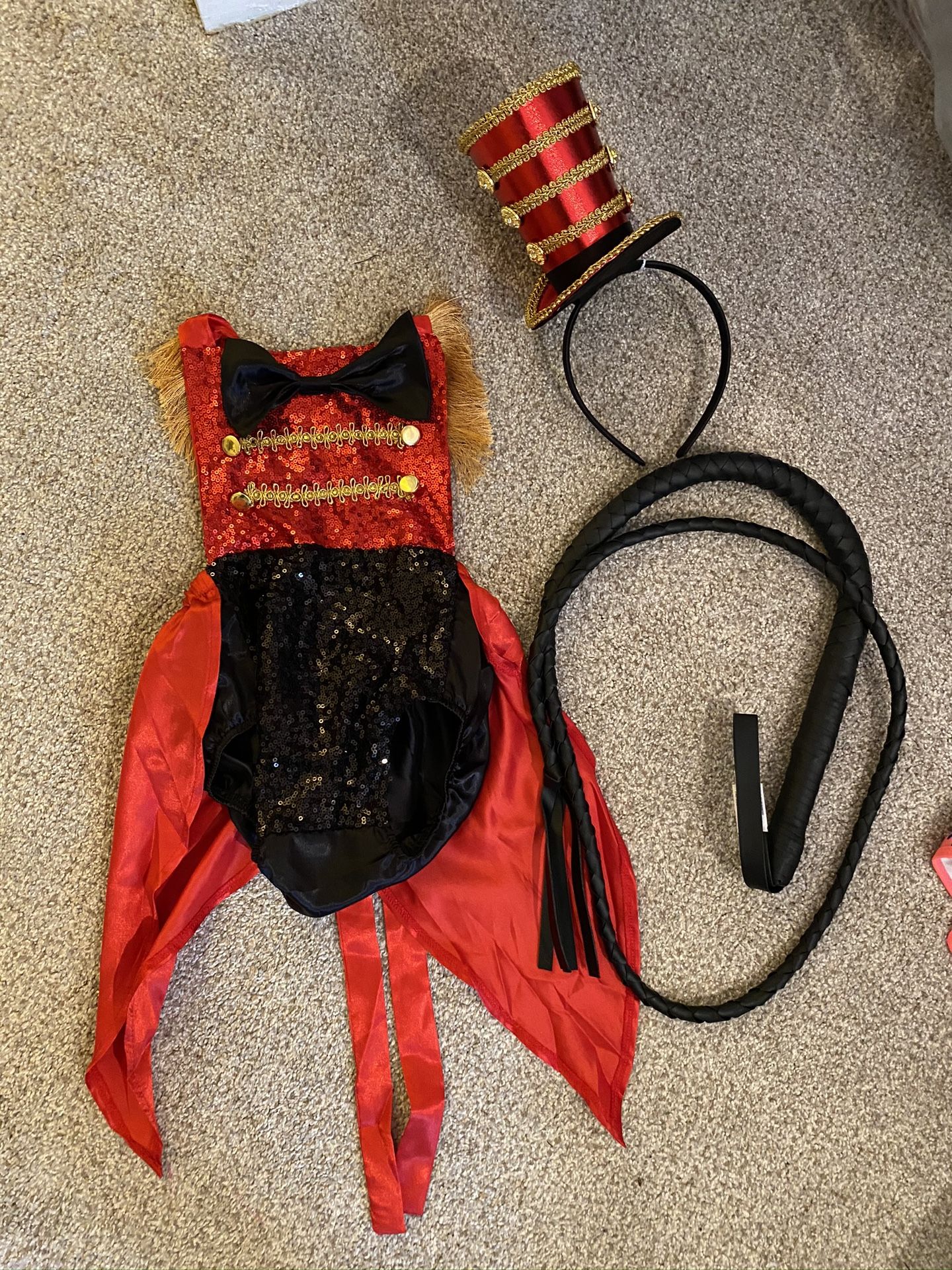 Lion tamer and lion costumes