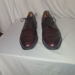 Allen Edmonds  Sz- 8,D