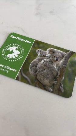 San Diego zoo adult ticket