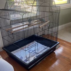 Bird Cage 