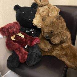 Bear Collection 