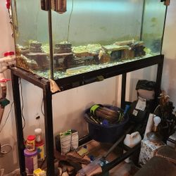 90 Gal Tank + Stand + SunsunHw304 Filter