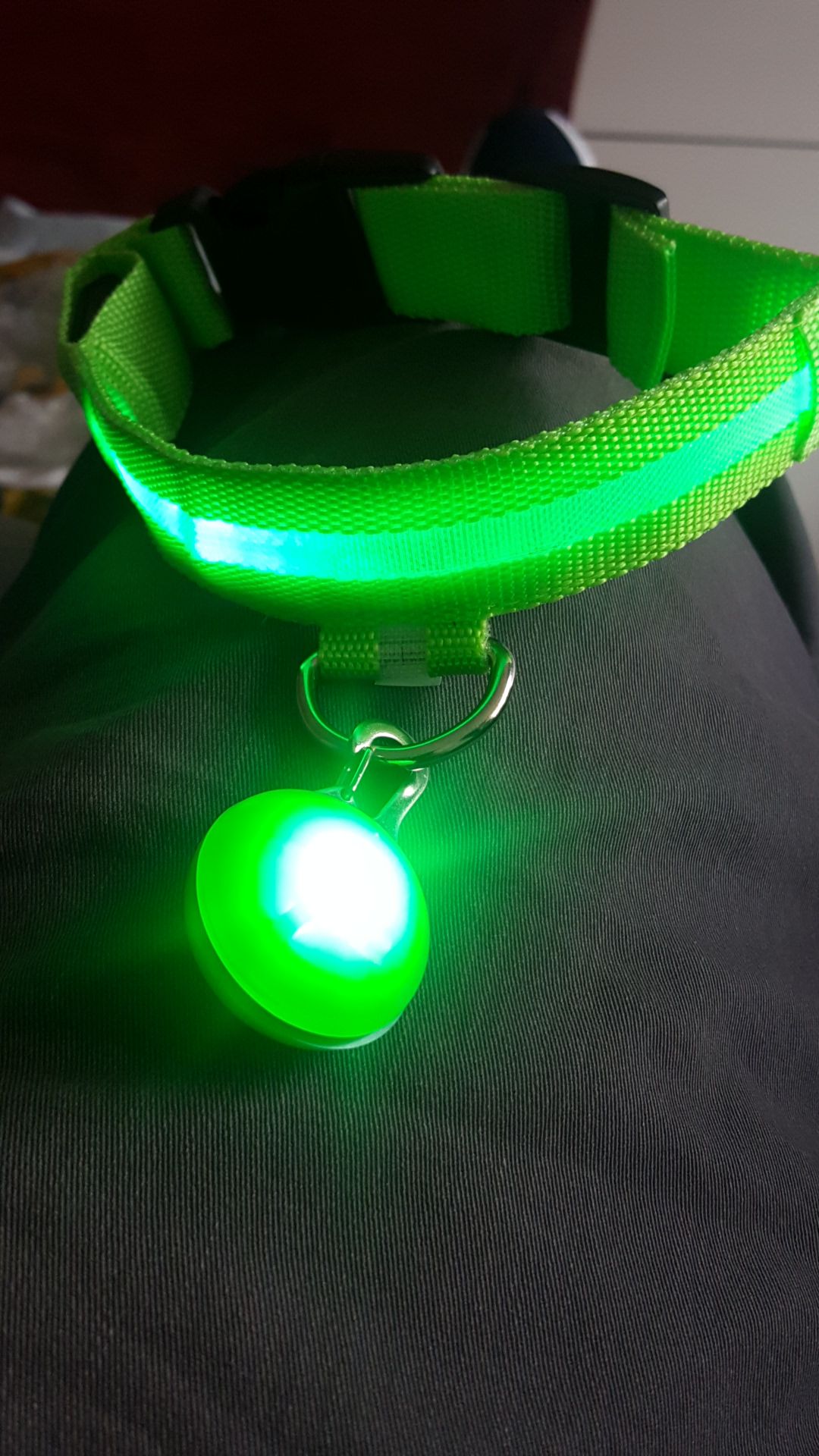 LED Dog Collar and light ball - Small/medium