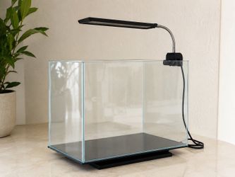 5 gallon luxury tank