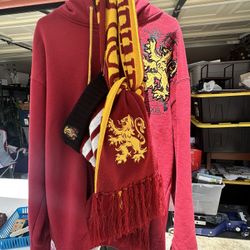 Gryffindor & Disney Hoodie