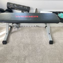 Workout Bench