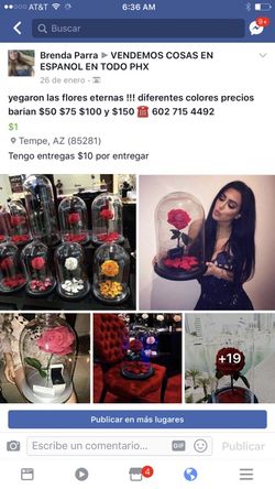 Flores eternas
