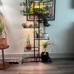 metal black plant stand