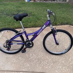 Trek Bike 24”
