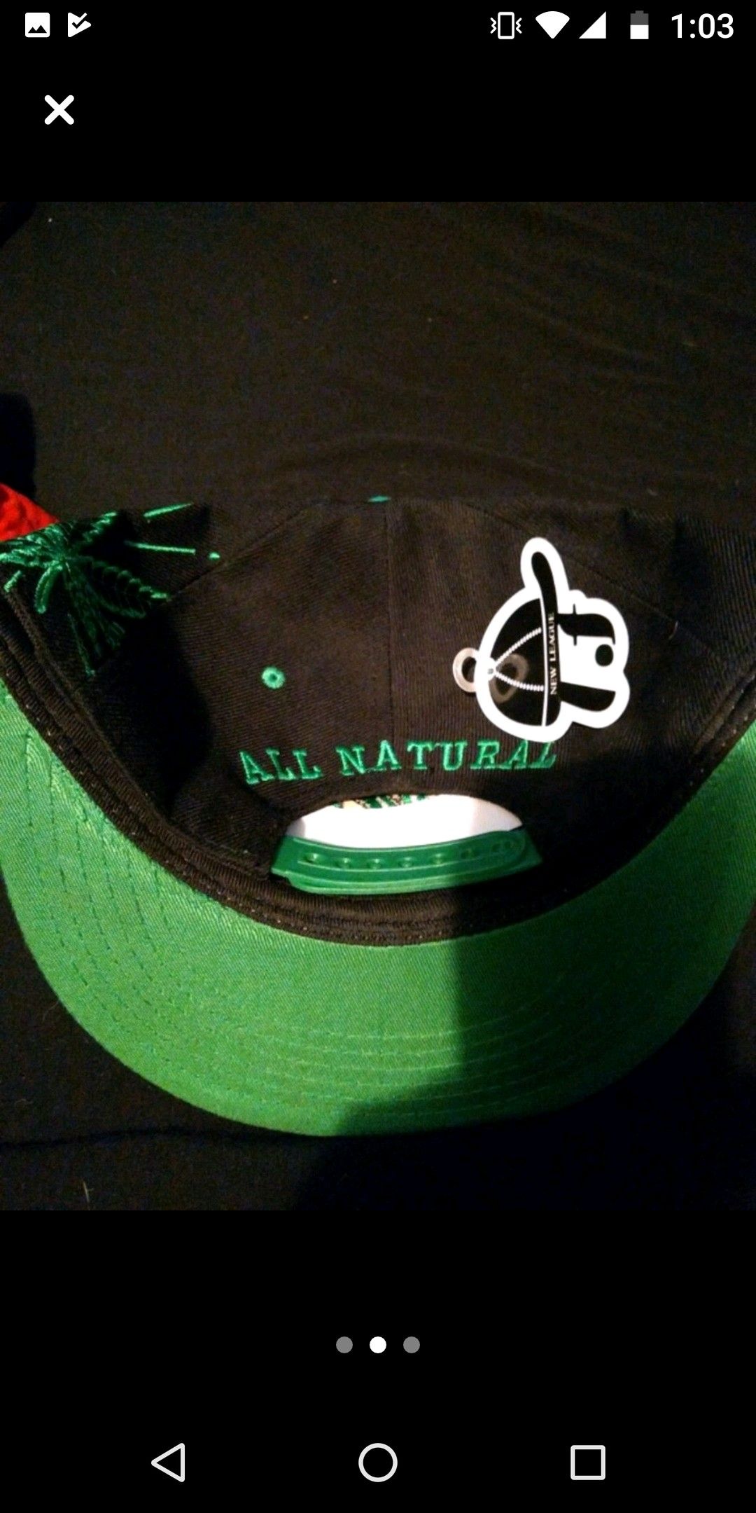 New in bag with tags pot leaf snapback