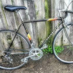 Vintage Peugeot (1984)