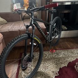 Specialized Rock Hopper Expert 29”