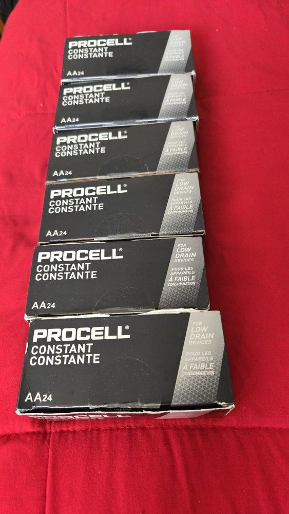 Procell AA24 Batteries
