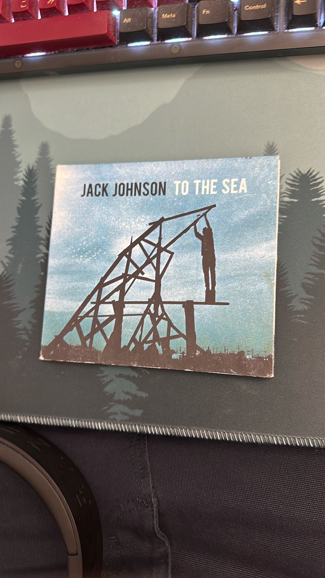 Jack Johnson To The Sea CD