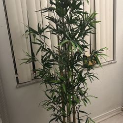 fake tree/plant
