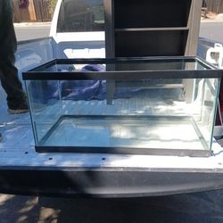 Fish Tank Stand & Lights