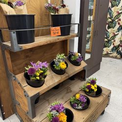 50% Off Fresh Flowers