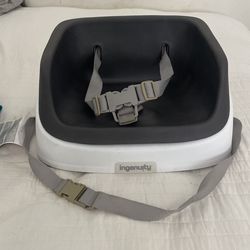 Ingenuity Booster Seat