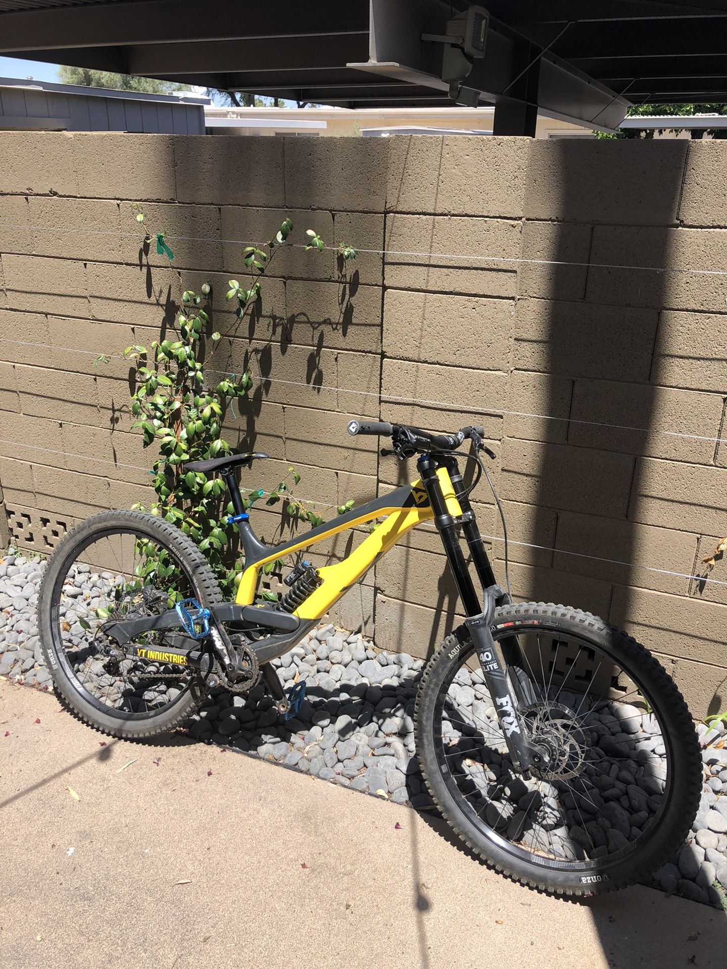 2019 YT Tues Al Downhill Mountain Bike