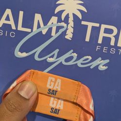 Palm Tree Music Festival  Saturday !