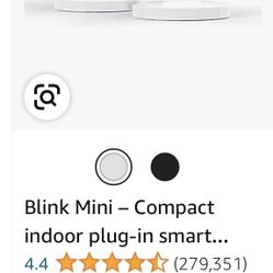 Blink Mini