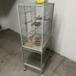 Bird Cage 